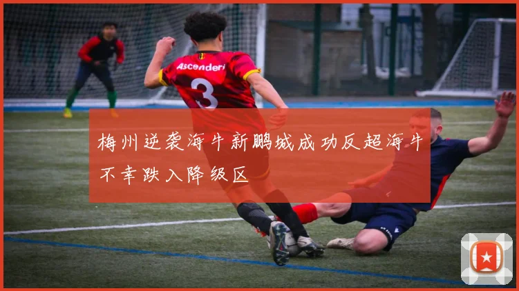 梅州逆袭海牛新鹏城成功反超海牛不幸跌入降级区